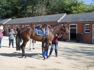 EL180921-39 - Guard Duty